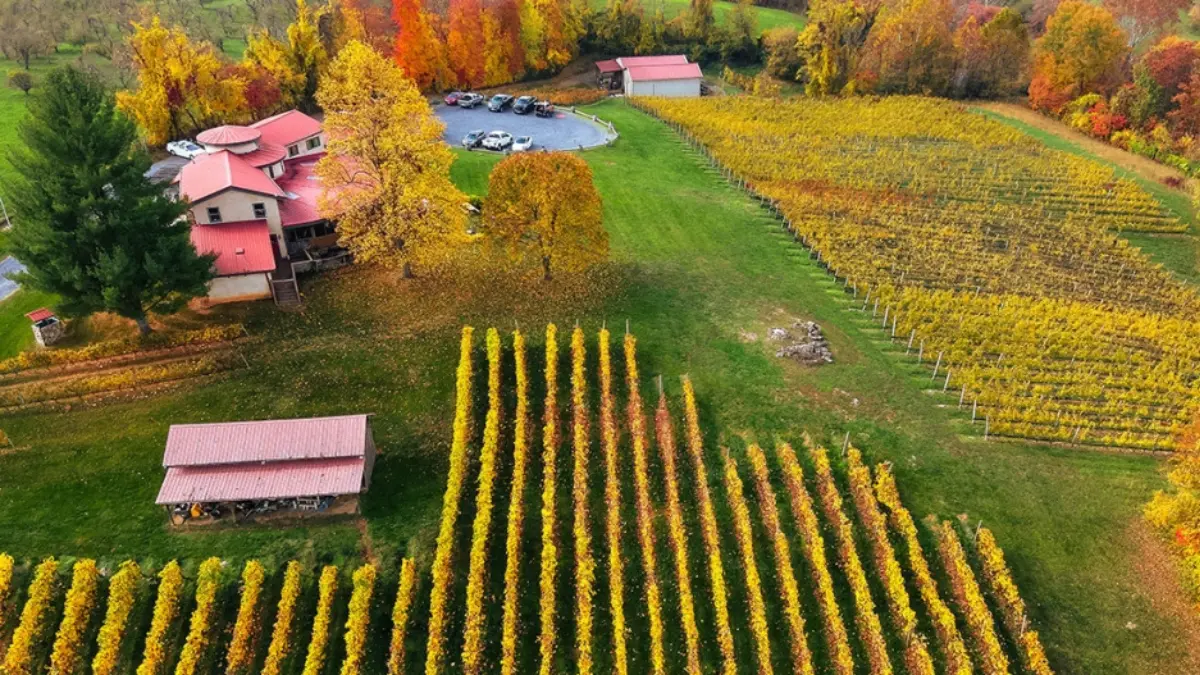 Northern Virginia winery day trip from Washington DC couples romantic getaway